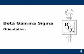 Beta Gamma Sigma - sbs.sogang.ac.krsbs.sogang.ac.kr/sbs/file/BGS_introduction.pdf · McMaster-Carr Supply Company National Security Agency New York Life Sapient Government Services