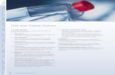 Cell and Tissue Culture - DE-GROOT Culture.pdf · Cell and Tissue Culture 1. Product Portfolio For cell and tissue culture, Greiner Bio-One offers the following product lines: CELLSTAR®