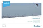 Hornsea Project Three Offshore Wind Farm Environmental Impact Assessment . Environmental Statement .