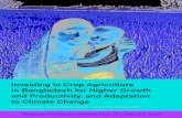 Investing in Crop Agriculture in Bangladesh for Higher ...€¦ · INVESTING IN CROP AGRICULTURE IN BANGLADESH FOR HIGHER GROWTH AND PRODUCTIVITY, AND ADAPTATION TO CLIMATE CHANGE