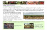 Grapes Feature Edition - National Clean Plant Networknationalcleanplantnetwork.org/files/299635.pdf · Grapes Feature Edition The beginning of NPN and NPN-Grapes Members of the grape