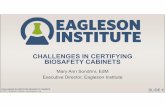CHALLENGES IN CERTIFYING BIOSAFETY CABINETS · CHALLENGES IN CERTIFYING BIOSAFETY CABINETS Mary Ann Sondrini, EdM Executive Director, Eagleson Institute CHALLENGES IN CERTIFYING BIOSAFETY