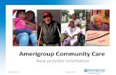 Amerigroup Community Care - Providers€¦ · Administrative appeals Medical necessity appeals An administrative appeal is for a denial of services based on reasons other than medical