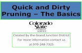 Quick and Dirty Pruning The Basics - Colorado State UniversityQuick and Dirty Pruning – The Basics Created by the Grand Junction District For more information contact us at 970-248-7325
