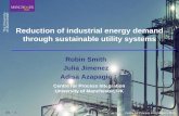 Reduction of industrial energy demand through sustainable ... · Reduction of industrial energy demand through sustainable utility systems Centre for Process Integration University