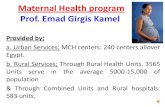 Malnutrition Prof. Emad Girgis Kamelcourses.minia.edu.eg/Attach/14815Maternal Health program.pdf · •Nutrition: Nutrition education & supplementation (folic acid before being pregnant