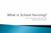 Teresa DuChateau, DNP, RN, CPNPBetz, C.L. (2001). Use of 504 plans for children and youth with disabilities: nursing application. Use of 504 plans for children and youth with disabilities: