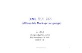 XML 문서처리coffeenix.net/data_repository/pdf/xml.pdf · 2004-02-18 · xml 문서를읽어들여구문분석한후, 그내용과구조에대한접근을 제공하는s/w 모듈