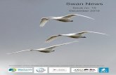 Swan News - swansg.org · This issue of Swan News was edited by Carl D. Mitchell (USFWS, retired), Jeff Snyder (Western Oregon University) and Eileen C. Rees (WWT). ... Chair: Wetlands