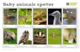 Baby animals spotter773d9157e47840f2e3a2-ba01378755c916aafd018e2a6c7792f2.r58.cf1.rackcdn.…Baby animals spotter Coot Fallow deer Fox Credits: Coot & Hedgehog (C) Gilian Day / Fallow