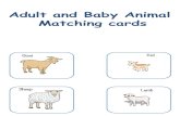Adult and Baby Animal Matching cards...Adult and Baby Animal Matching cards. Dog Puppy Horse Bear Pony Cub Pig Piglet. Hen Chick Cat Kitten Frog Tadpoel Cow Calf. Title: adult vs baby