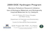 2009 DOE Hydrogen Program2. Determine basis of hydrogenase stability 3. Improve conductivity, mass transfer, and hydrogen production in gels 4. Biomimetic hydrogen production catalyst