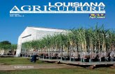 Sugarcane Issue - LSU AgCenter/media/system/4/a/8/3/4a83c3029ef5… · Research Station and St. Gabriel Research Station, St. Gabriel, La. S OVERVIEW Photo by John Wozniak Photo by