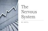The Nervous System...•The nervous system contains two types of cells: neurons and neuroglia. •Neurons are the cells that transmit nerve impulses between parts of the nervous system