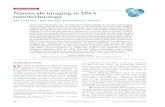 Advanced Review Nanoscale imaging in DNA nanotechnologypwkr/dna-nanotech-reviews/... · Advanced Review Nanoscale imaging in DNA nanotechnology Ralf Jungmann,1 Max Scheible2 and Friedrich