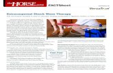 FACTSheet - Equine Shockwave Therapy Wave_TheHorse_2015… · Wound Management Another application of focused ESWT is directed at super-ficial wound care.7 Recent findings suggest