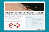 Rainwater storage and mosquito breeding · 2019-06-23 · deadly dengue virus, and other species that carry diseases such as Ross River virus and Barmah Forest virus. Prevent mosquito