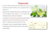 Terpenoids - Suli Pharmasuli- 2019-12-22آ  Terpenoids â€¢ The odor of a freshly crushed mint leaf, like