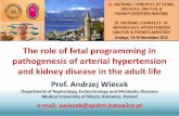 The role of fetal programming in pathogenesis of arterial ... Wiecek 2.pdfThe role of fetal programming in pathogenesis of arterial hypertension . and kidney disease in the adult life