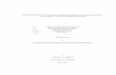 ENVIRONMENTAL JUSTICE ANALYSIS OF NITRATE CONTAMINATION … · nitrate contamination. I certify that the Abstract is a correct representation of the content of this Thesis. ACKNOWLEDGEMENTS