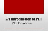 Introduction to PLR - Amazon S3 · 2015-07-28 · What PLR Powerhouse is… •A top-to-bottom guide on all things PLR: •An Introduction to Product Rights (and Private Label Rights)