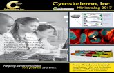Cytoskeleton, Inc. - Apical Scientific · Cytoskeleton, Inc. Minicatalog 2017 Helping advance science one protein at a time. Signal Seeker™ Kits Spirochrome™ Bioprobes GLISA™