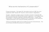 What are the mechanisms of C preservation? · What are the mechanisms of C preservation? Primary production: The higher PP, the higher the flux of OM, the more ... These surfaces