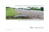 Credit Valley Conservation · recent scientific research available to Credit Valley Conservation (CVC) as well as professional opinion and experience. CVC recognizes that road ecology
