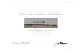 The impact of human disturbance at seal haul-outs · Such effects have been recorded, eg for Hawaiian monk seals, California sea lions in the Gulf of California and harbour seals