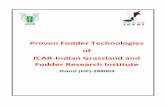 Proven Fodder Technologies of ICAR-Indian Grassland and ... Proven Technology.pdf · characterized by tropical monsoon climate having degraded forests and under seasonal protection;
