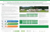 Economic Analysis of Tropical Forages in Livestock …...which limits in many cases their adoption 1International Center for Tropical Agriculture (CIAT), Tropical Forages Program,