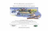 Wildlife Values in the West - Sites @ WCNR · EXECUTIVE SUMMARY This report documents results of a study that assessed the Hawai`i public’s values and attitudes toward wildlife.