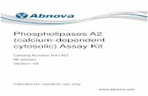Phospholipases A2 (calcium-dependent cytosolic) Assay KitPhospholipases A 2 (PLA 2s) catalyze the hydrolysis of fatty acids at the sn -2 position of glycerophospholipids, yielding