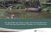 A guide to the use of hounds for hunting Sambar Deer in ... · | A guide to the use of hounds for hunting Sambar Deer in Victoria Page | 3 Introduction Deer hunting is an increasingly