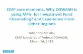 CMP core elements, Why COWASH is using MFIs for …...2.Rural WaSH and its challenges Rural WaSH (RWASH) in Ethiopia is expected to provide services to over 80% of the population (close