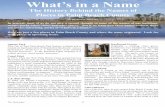 What’s in a Name - Palm Beach County History Online in a Name.pdf · What’s in a Name The History Behind the Names of Places in Palm Beach County ... Lawrence Road in Boynton