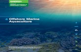 4 Offshore Marine Aquaculture - Energy.gov · 4. Offshore Marine Aquaculture . Key Findings • Aquaculture is the cultivation of finfish, shellfish, crustaceans, and seaweeds on