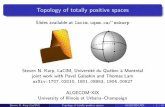 Topology of totally positive spaceslacim.uqam.ca/~karp/ALGECOMXIX.pdfThe amplituhedron is conjecturally a positive geometry, whose canonical form for m = 4 is the tree-level scattering