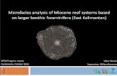 Reefal microfacies of East Kalimantan revealed by larger ...ipaeg.org/sites/ipaeg.org/files/novak_nta6.pdf · Multi-taxon fossil assemblage analysis Mesophotic reefal environment