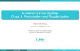 Numerical Linear Algebra Chap. 4: Perturbation and ...Numerical Linear Algebra Chap. 4: Perturbation and Regularisation Heinrich Voss voss@tu-harburg.de Hamburg University of Technology