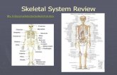 Skeletal System Review - UrbanDinemgaughan-biology.weebly.com/uploads/1/1/0/3/110365537/... · 2019-10-17 · depression of the bone in toward the brain. Linear-a fracture that extends