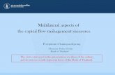 Multilateral aspects of the capital flow management measures€¦ · Monetary Policy Group Bank of Thailand Multilateral aspects of the capital flow management measures-The views