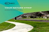 YOUR NATURE STRIP - City Services · opportunity for individual and city wide benefits. Where this relationship exists, the nature strip can perform its essential ... nature strip,