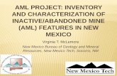 New Mexico State University - AML PROJECT ......AML PROJECT: INVENTORY AND CHARACTERIZATION OF INACTIVE/ABANDONED MINE (AML) FEATURES IN NEW MEXICO Virginia T. McLemore New Mexico