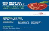 THE BEST OF THE BIG APPLE · Co-Director of Bone Densitometry Department of Obstetrics and Gynecology New York University Medical Center New York, New York SUNDAY, NOVEMBER 17, 2019