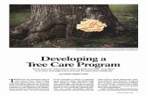 Developing a TreeCare Program. - MSU Librariesand the amount of liability the golf course is willing to assume. In many instances the arborist/tree specialist will complete smaller