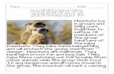 Meerkats Reading Passage - Henry County School District · 2020-03-18 · Name_____Meerkats_____ Date _____ Meerkats live in groups and they work together to survive. All members