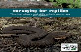 surveying for reptiles - Froglife...1 ‘Surveying for Reptiles’ is a handy guide which summarises key ID features of common reptile species, and provides you with important tips,