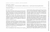 Current P-fimbriae, bacterialadhesion, and pyelonephritis · P-fimbriae, bacterial adhesion, and pyelonephritis 181 in most clinical isolates of E coli is mannose resistant,'8 this