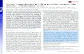 Fusion transcriptome profiling provides insights into ... · Fusion transcriptome profiling provides insights into alveolar rhabdomyosarcoma Zhongqiu Xiea, Mihaela Babiceanua,1, Shailesh